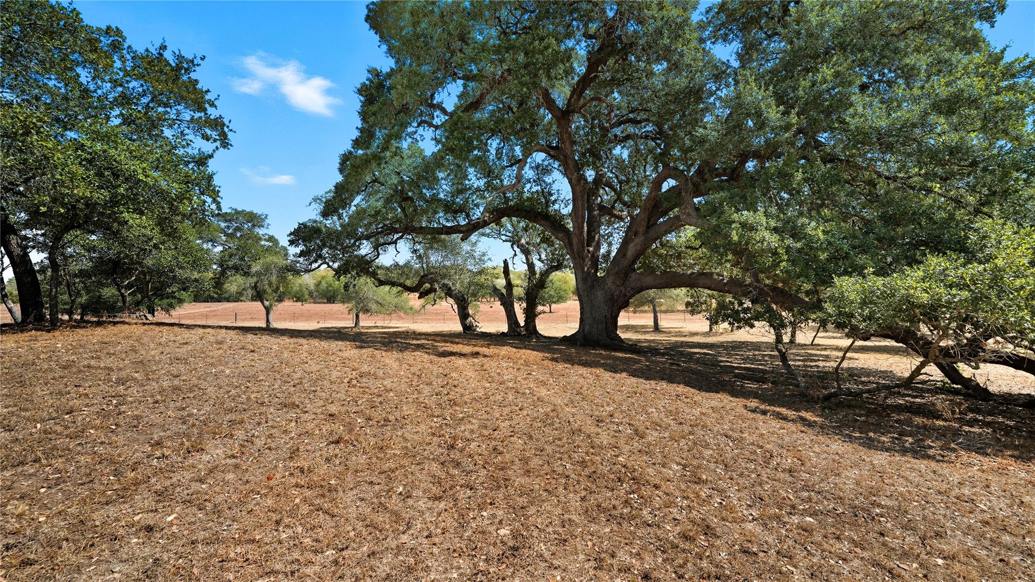 2656 River Bend Road Smithville TX 78957