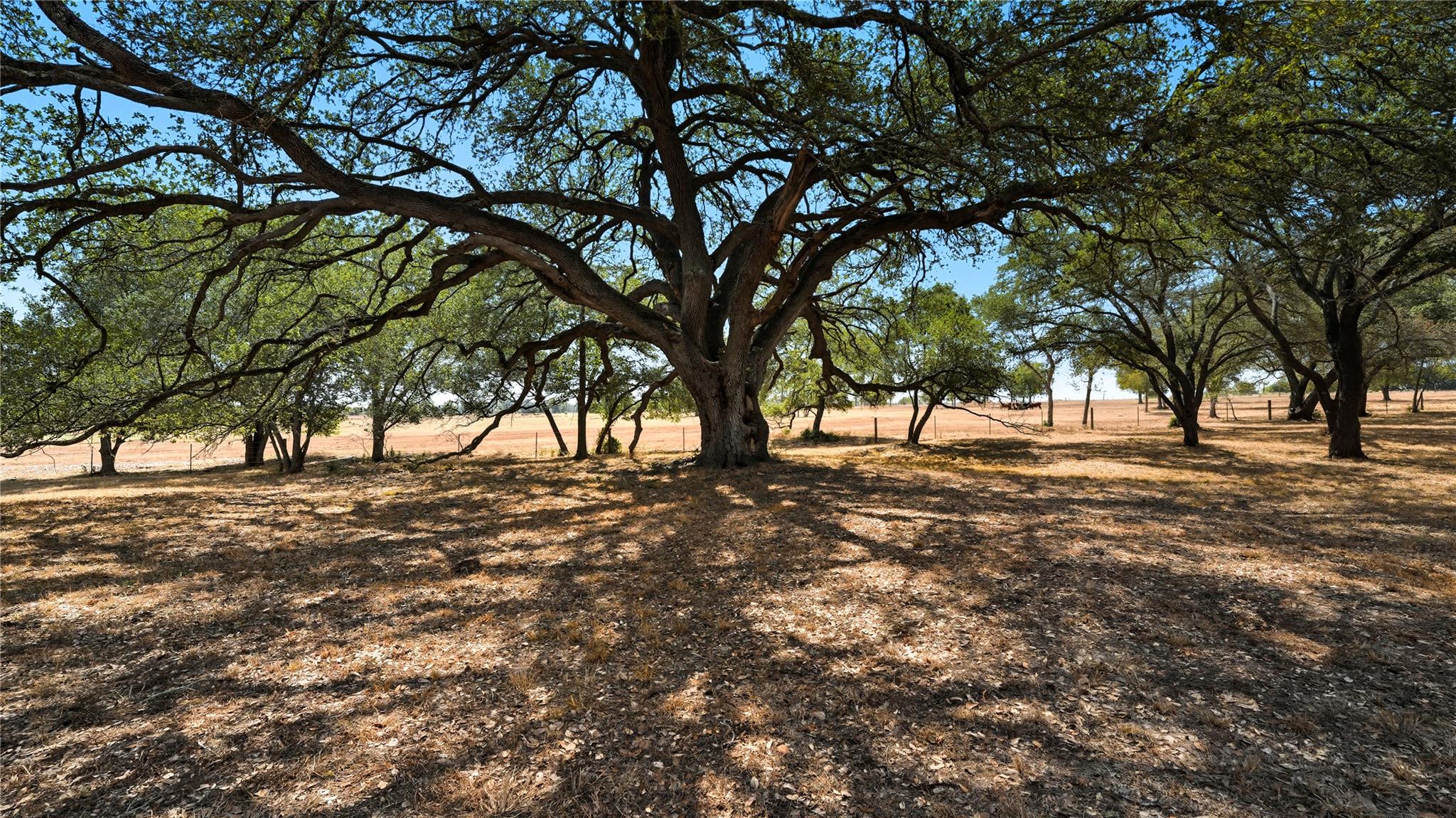 2656 River Bend Road Smithville TX 78957