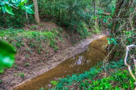 5233 County Road 106 Caldwell TX 77836