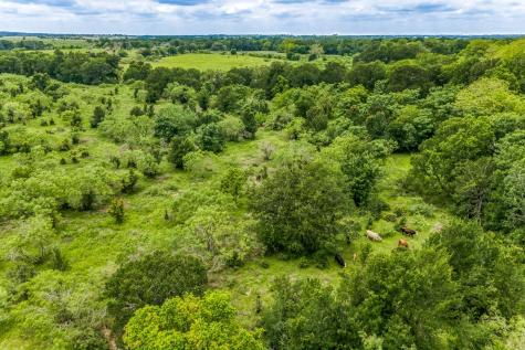 5233 County Road 106 Caldwell TX 77836