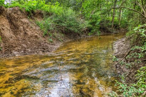 5233 County Road 106 Caldwell TX 77836