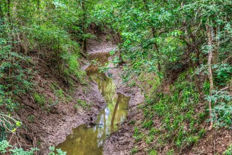 5233 County Road 106 Caldwell TX 77836
