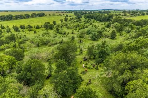 5233 County Road 106 Caldwell TX 77836