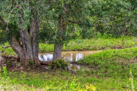 5233 County Road 106 Caldwell TX 77836