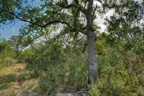 1790 County Road 402 Marble Falls TX 78654
