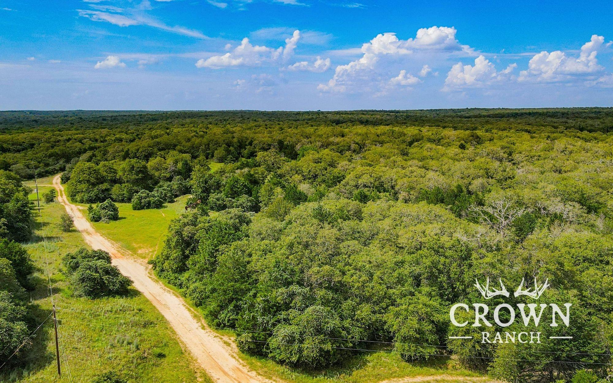 Tbd Fm 908 (+/-657 Acres) Caldwell TX 77836
