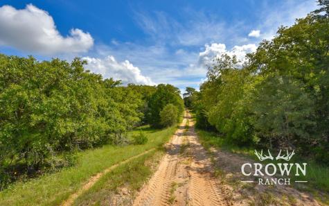 Tbd Fm 908 (+/-657 Acres) Caldwell TX 77836
