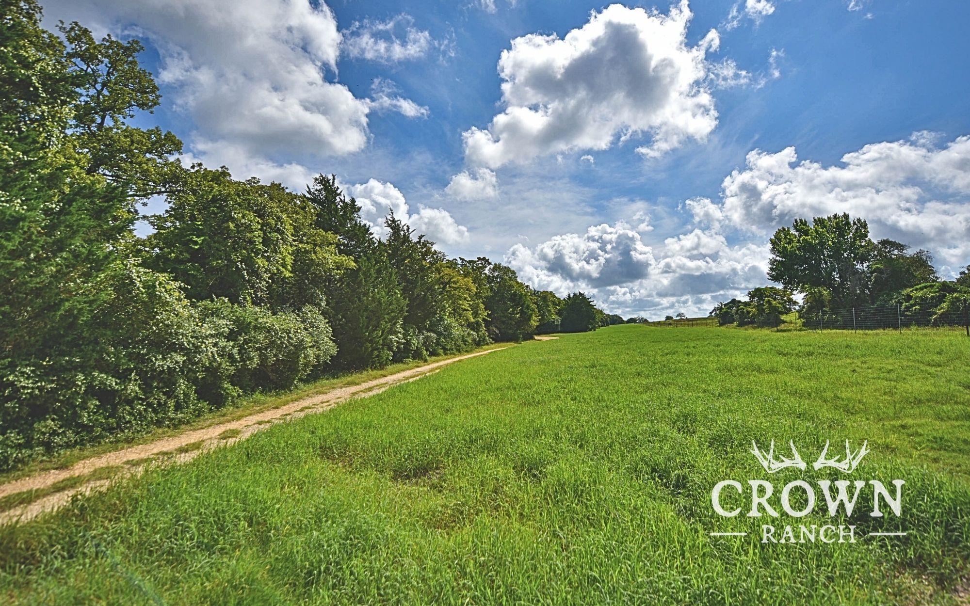 Tbd Fm 908 (+/-657 Acres) Caldwell TX 77836