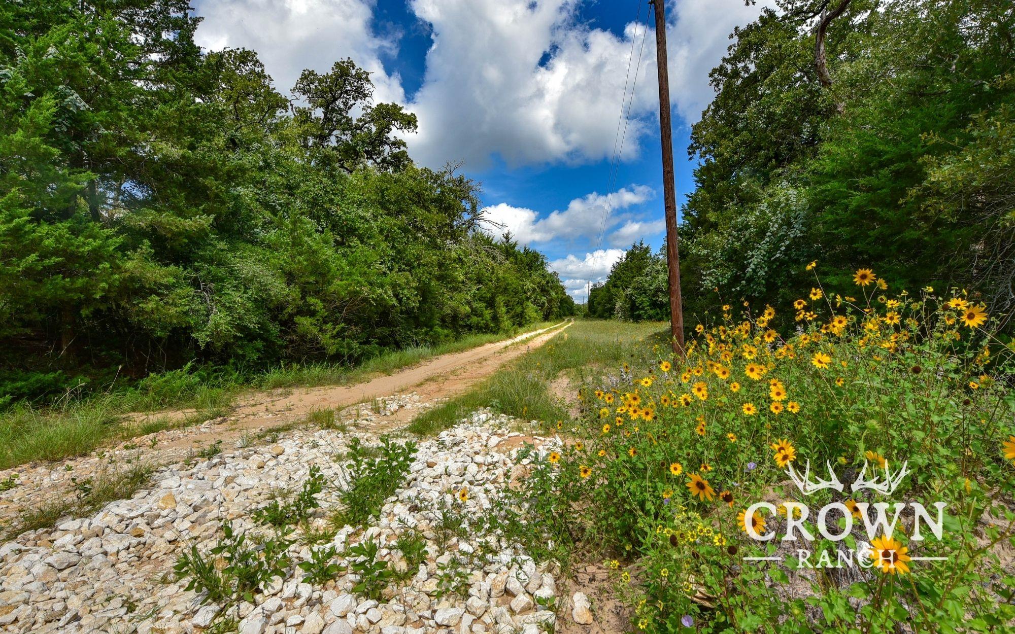 Tbd Fm 908 (+/-657 Acres) Caldwell TX 77836