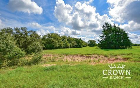 Tbd Fm 908 (+/-657 Acres) Caldwell TX 77836