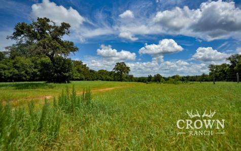 Tbd Fm 908 (+/-657 Acres) Caldwell TX 77836