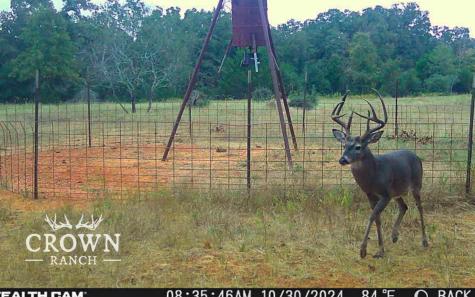 Tbd Fm 908 (+/-657 Acres) Caldwell TX 77836