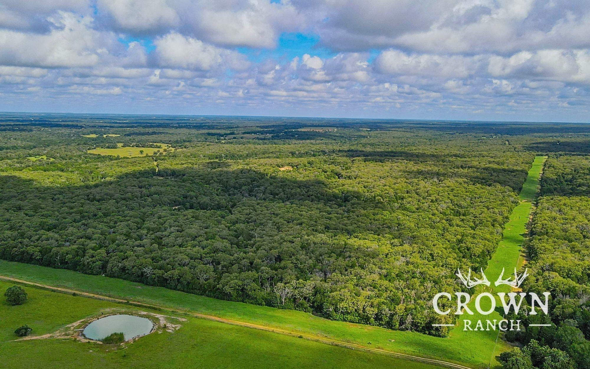 Tbd Fm 908 (+/-657 Acres) Caldwell TX 77836