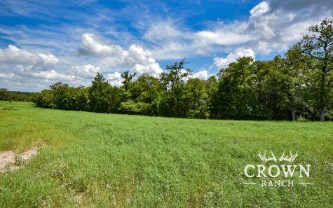 Tbd Fm 908 (+/-657 Acres) Caldwell TX 77836