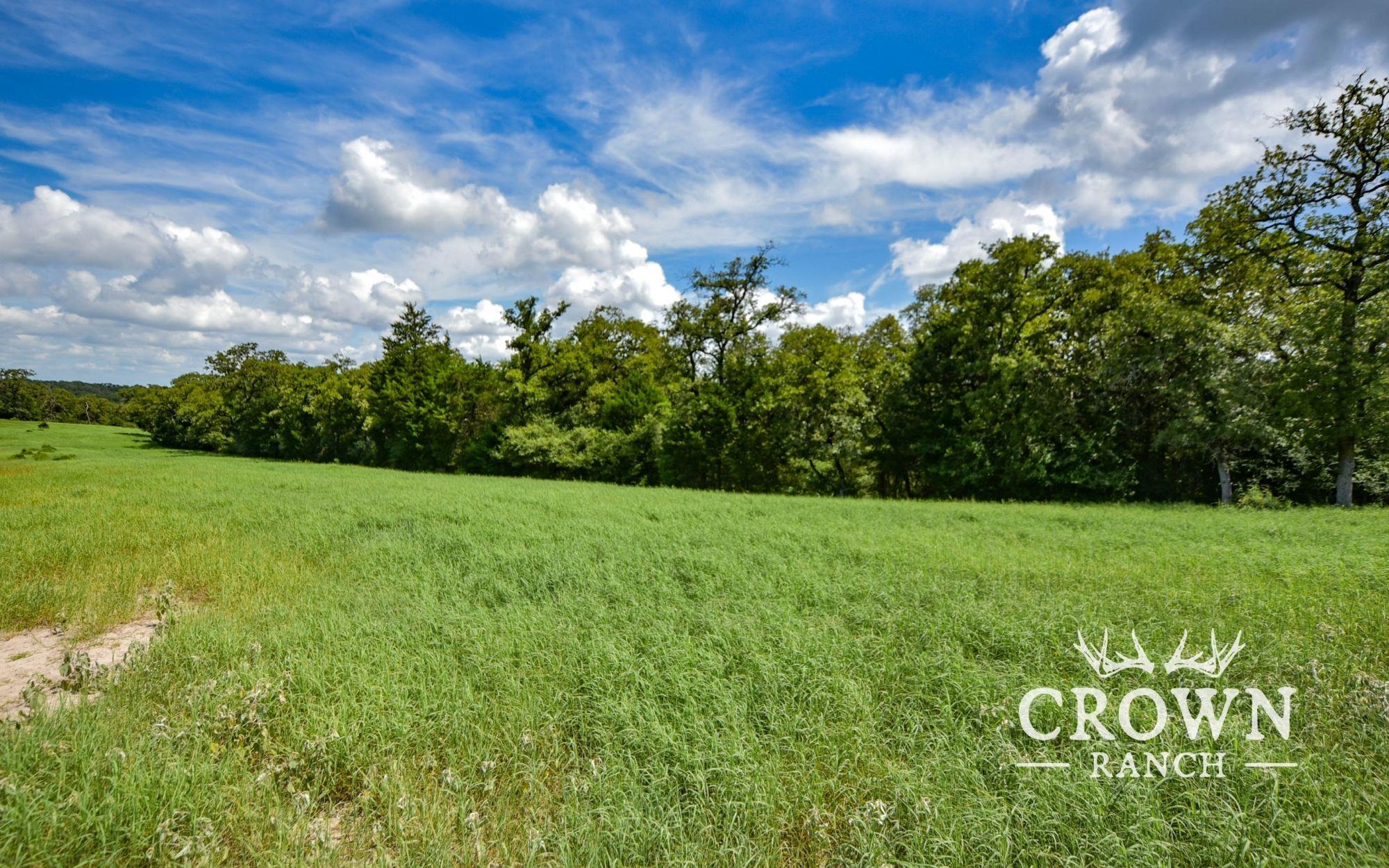 Tbd Fm 908 (+/-657 Acres) Caldwell TX 77836