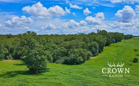 Tbd Fm 908 (+/-657 Acres) Caldwell TX 77836