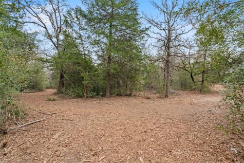 Tbd County Road 326 Lot 8 Rockdale TX 76567