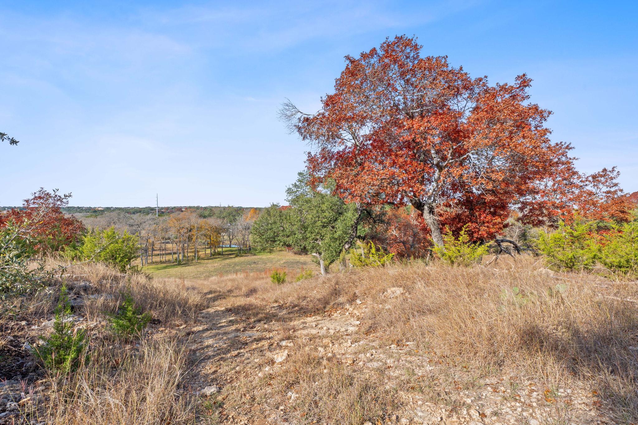 801 Needham Road Dripping Springs TX 78620