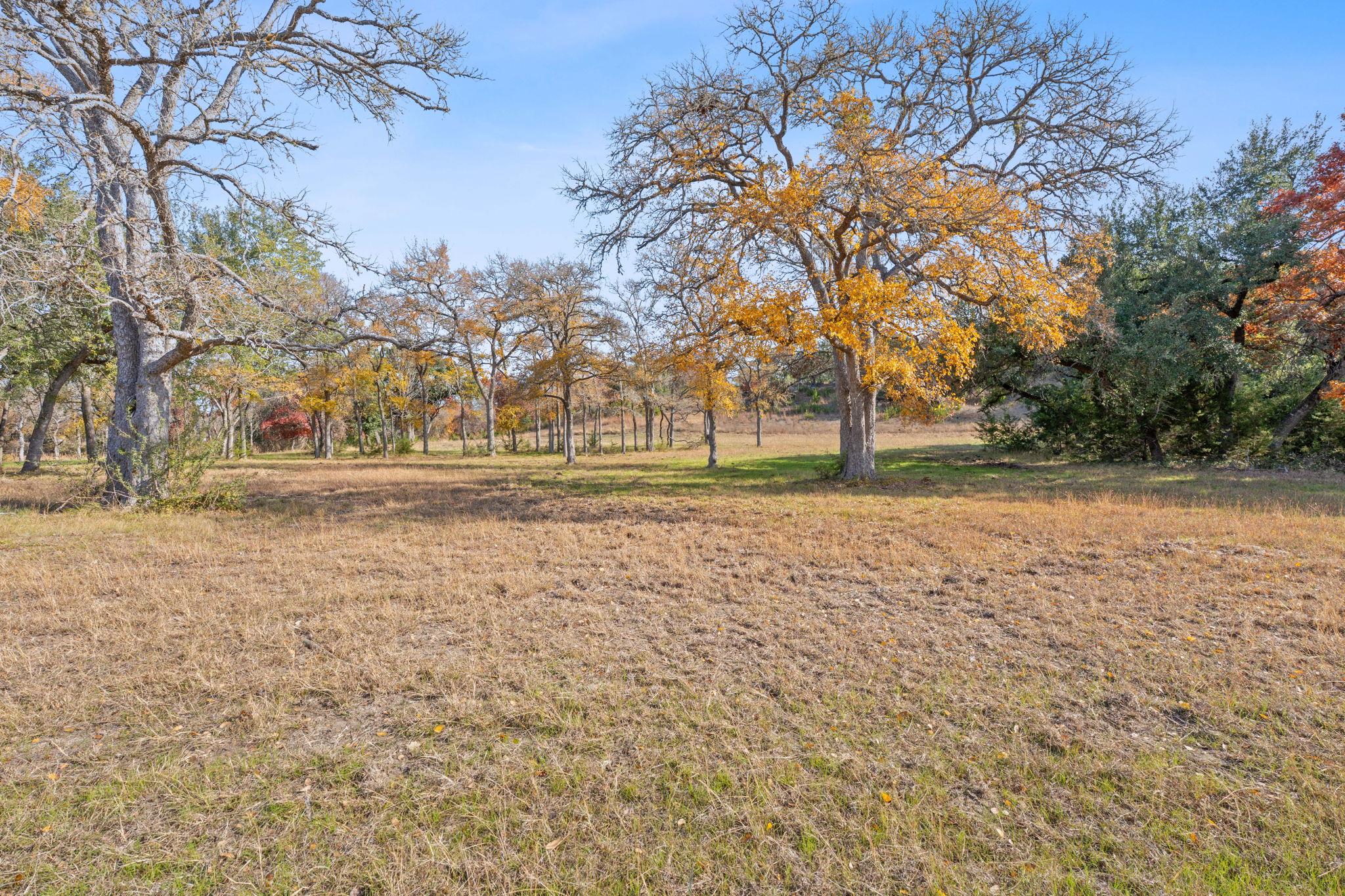 801 Needham Road Dripping Springs TX 78620