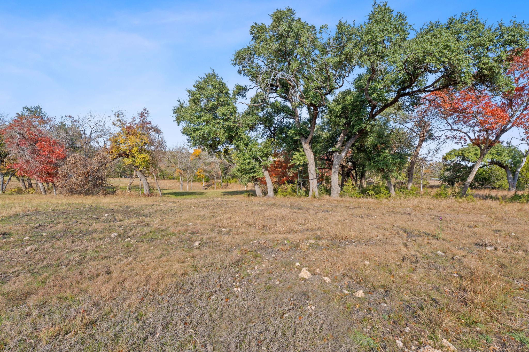 801 Needham Road Dripping Springs TX 78620