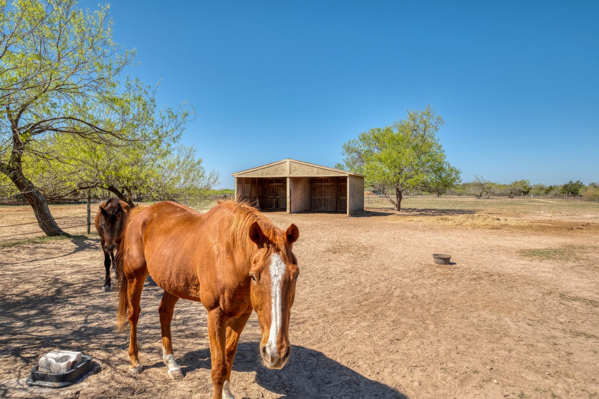 154 Three Oaks Lane Bastrop TX 78602