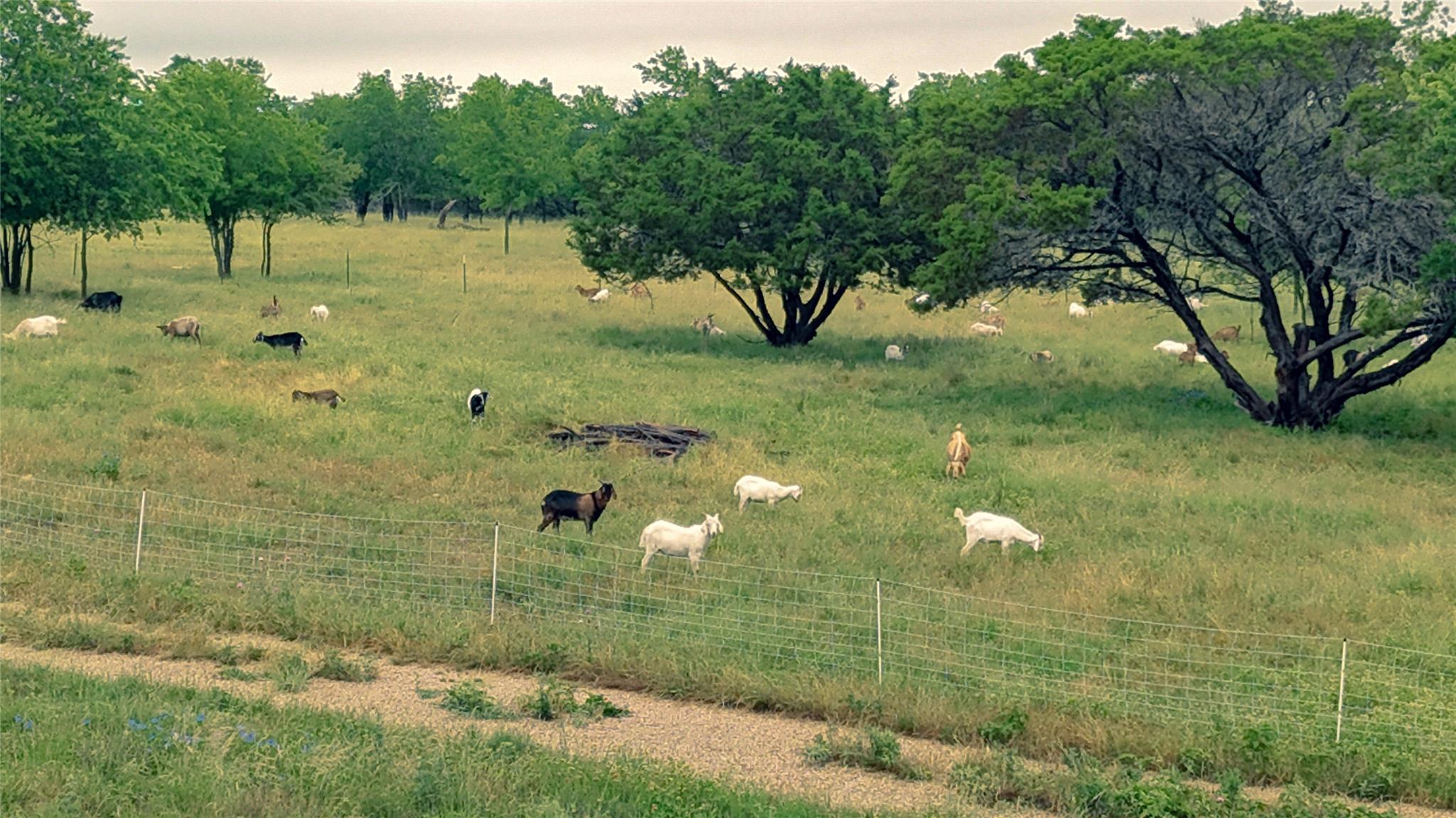 15920 Fm 107 Moody TX 76557