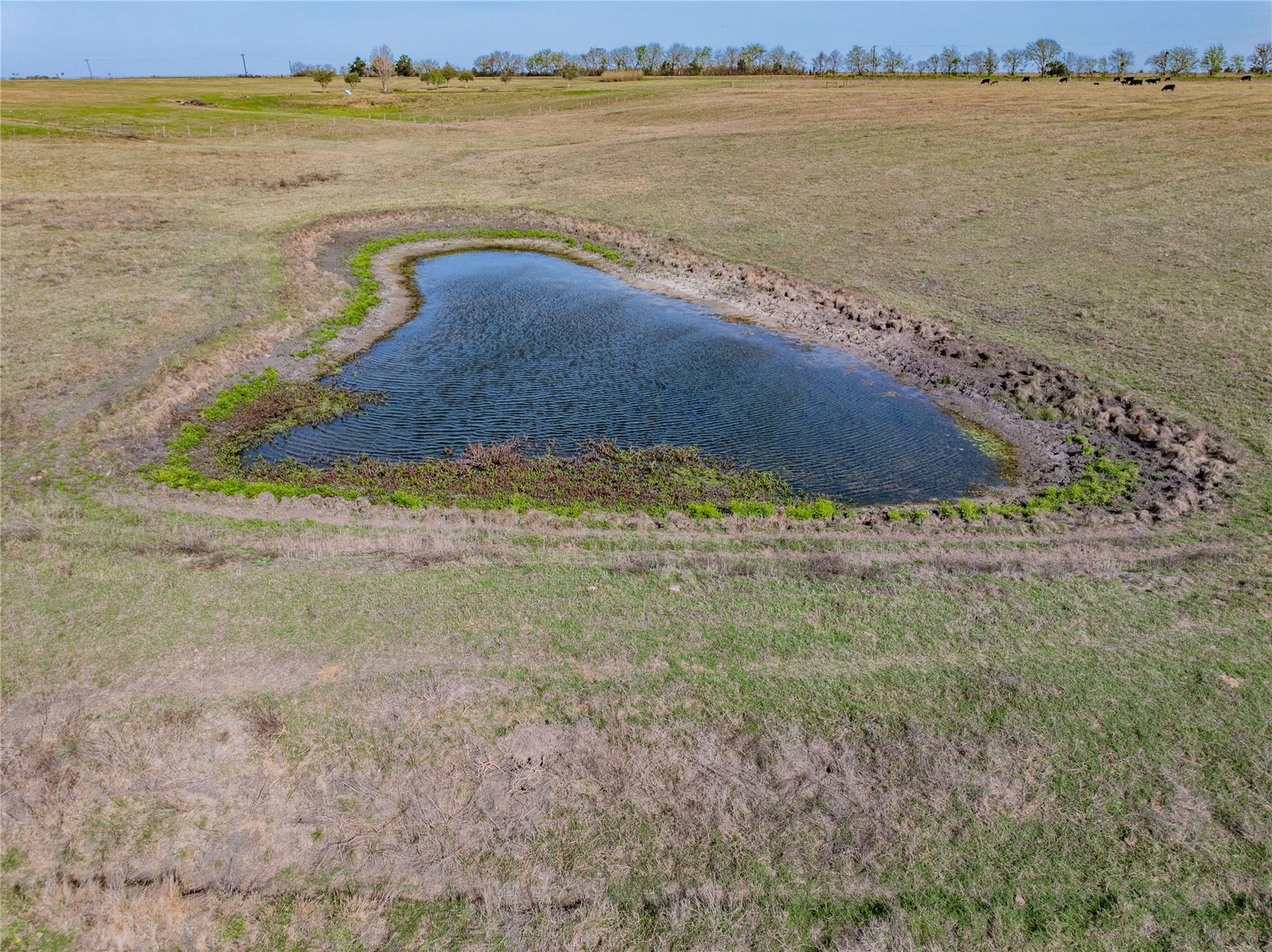 555 Knape Road La Grange TX 78945