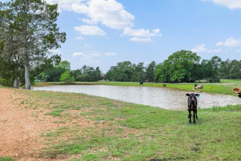 1371 Private Road 2051 Giddings TX 78942