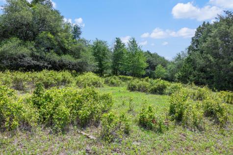 1371 Private Road 2051 Giddings TX 78942