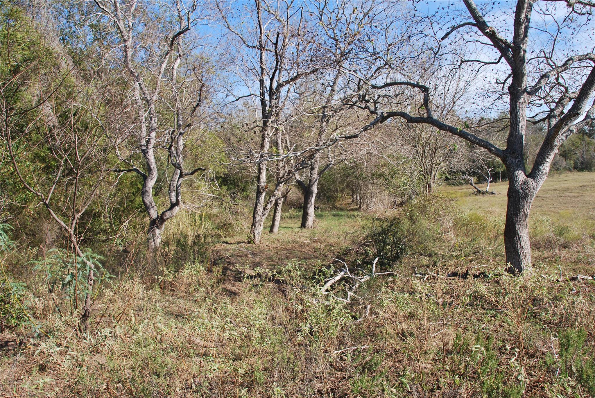 Tbd Fm 532 Hallettsville TX 77964