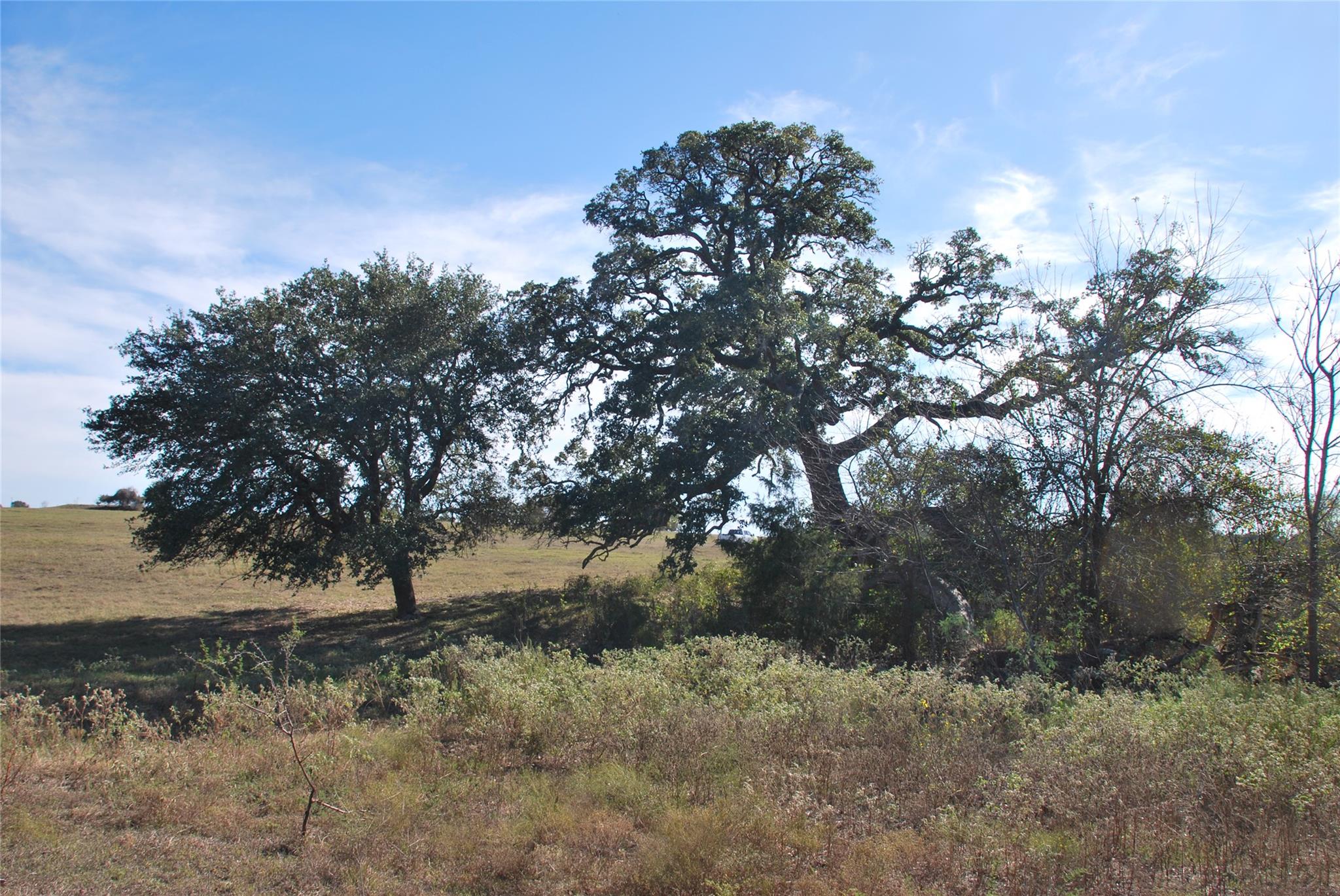 Tbd Fm 532 Hallettsville TX 77964