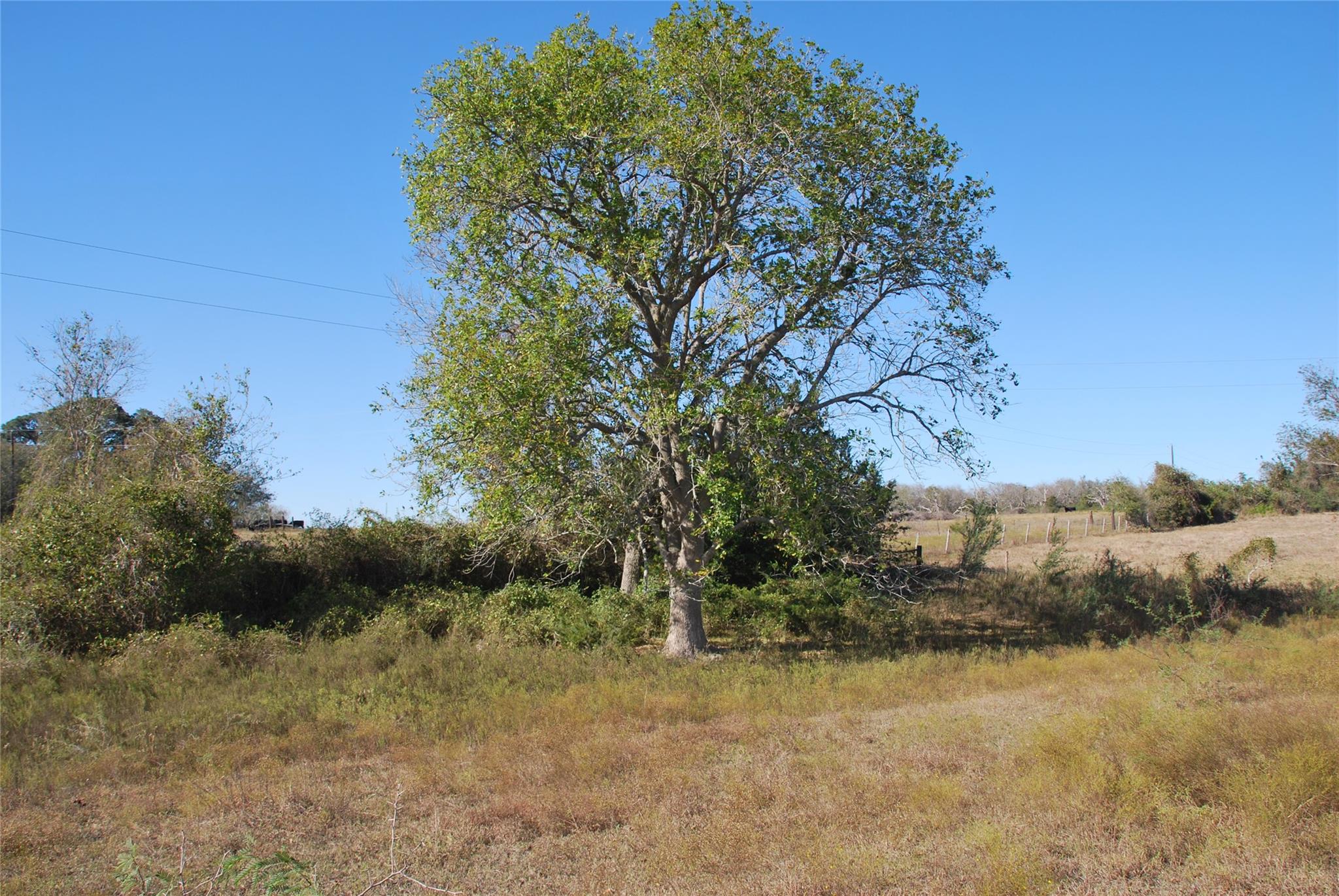 Tbd Fm 532 Hallettsville TX 77964