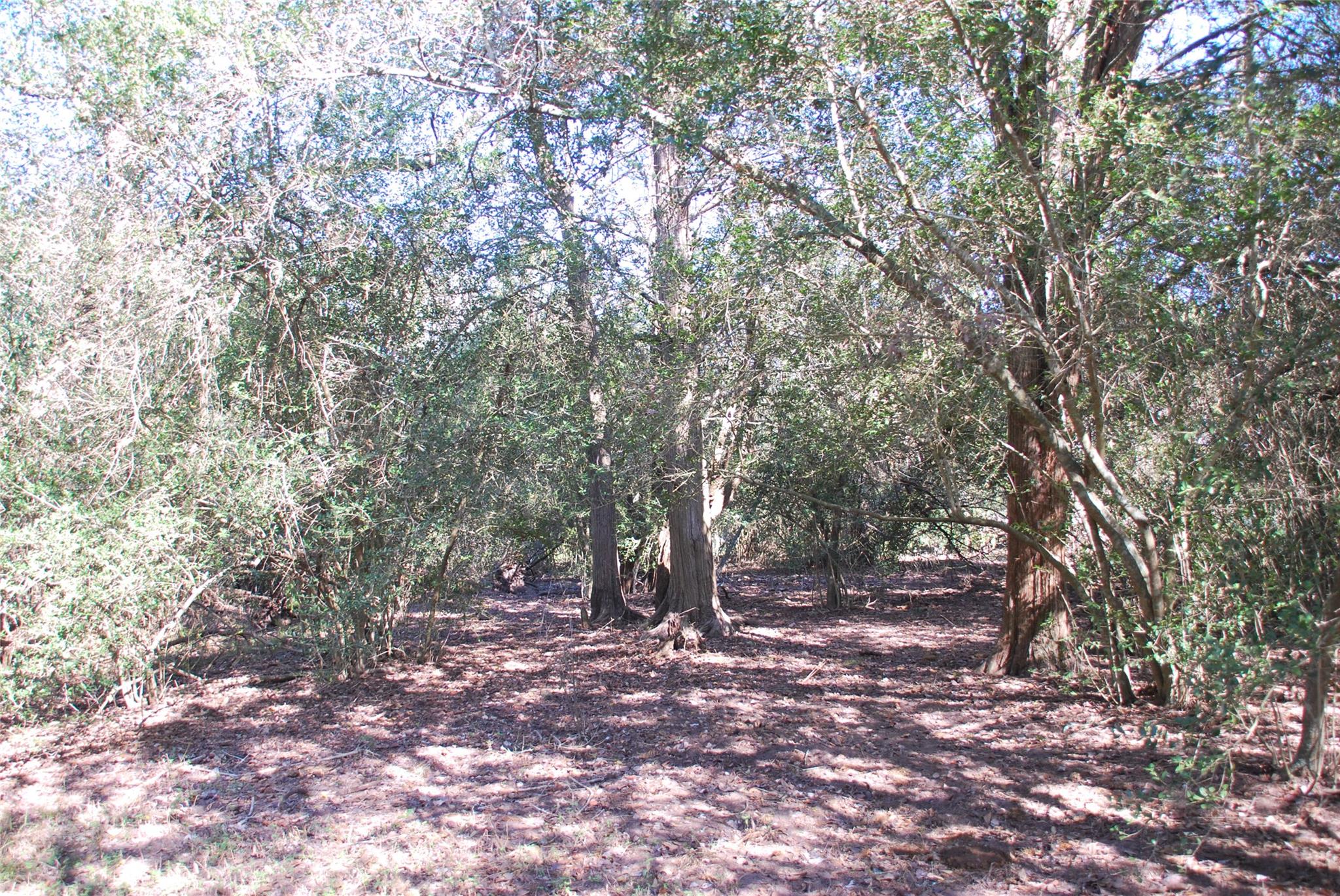 Tbd Fm 532 Hallettsville TX 77964
