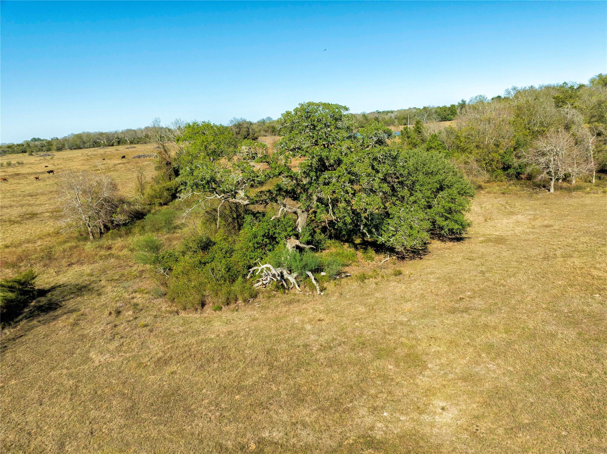 Tbd Fm 532 Hallettsville TX 77964