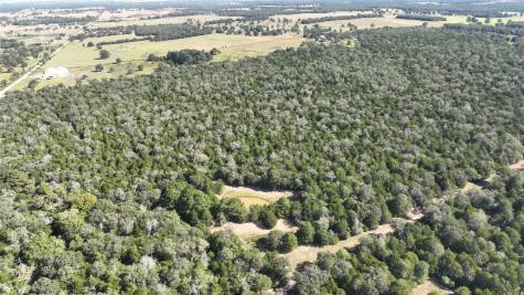 Tbd Easley Road Smithville TX 78957