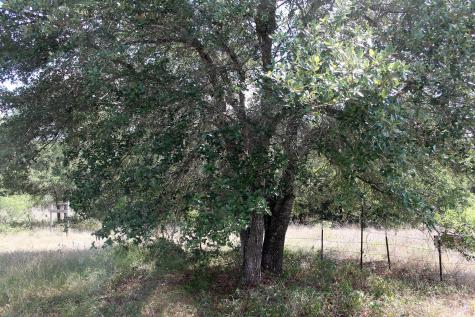 720 Green Acre Drive Dale TX 78616