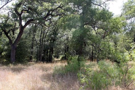 720 Green Acre Drive Dale TX 78616