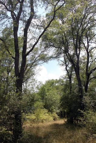 720 Green Acre Drive Dale TX 78616