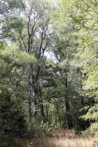 720 Green Acre Drive Dale TX 78616
