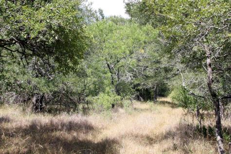 720 Green Acre Drive Dale TX 78616