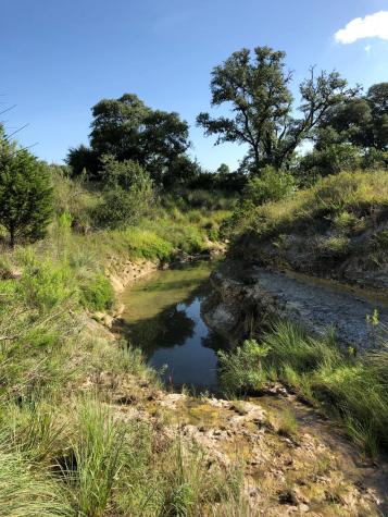 100 Dario Drive Dripping Springs TX 78620