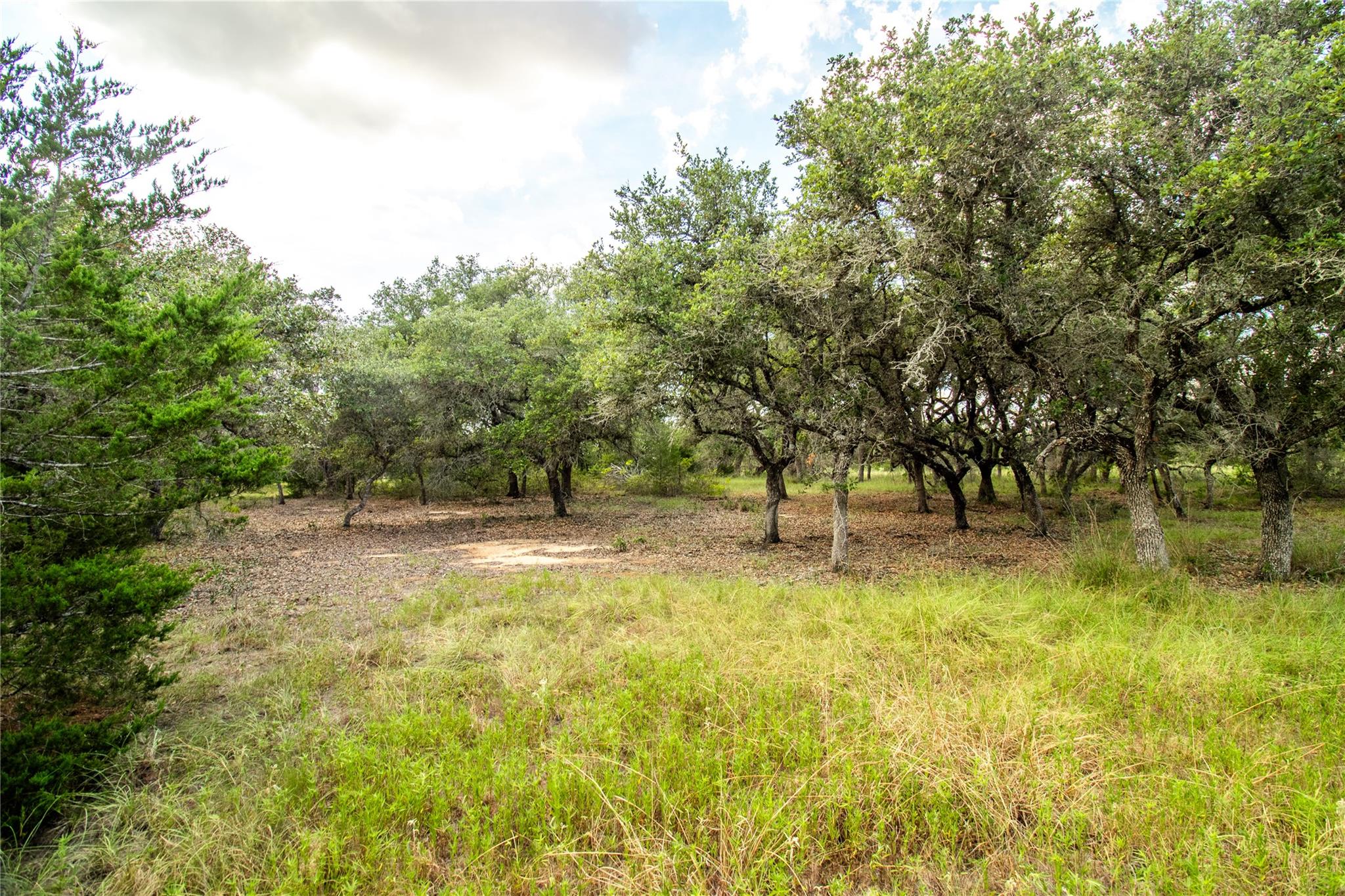 002 County Road 15 Hallettsville TX 77964
