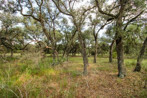 002 County Road 15 Hallettsville TX 77964