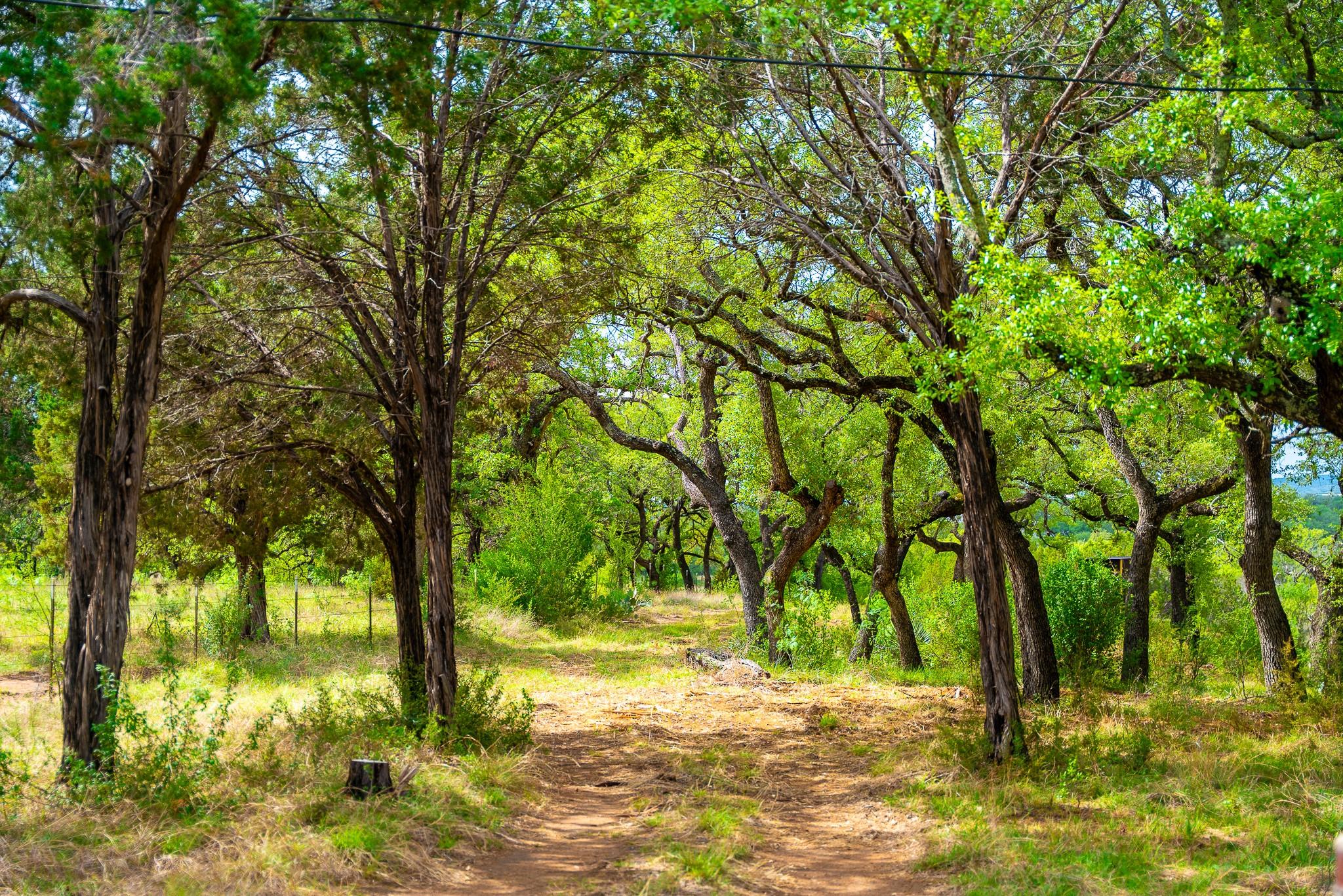 28205 Turner Ranch Road Marble Falls TX 78654