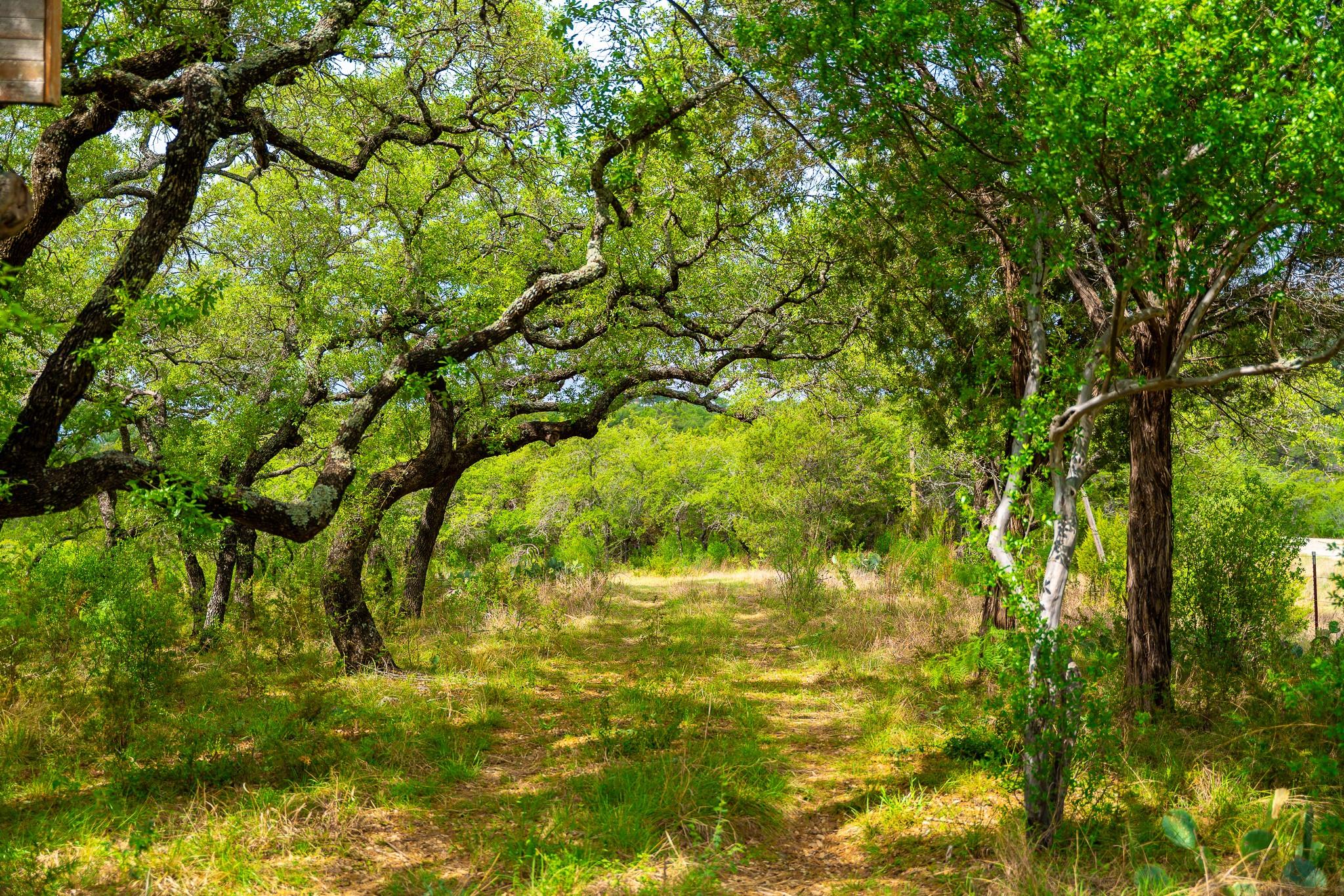 28205 Turner Ranch Road Marble Falls TX 78654