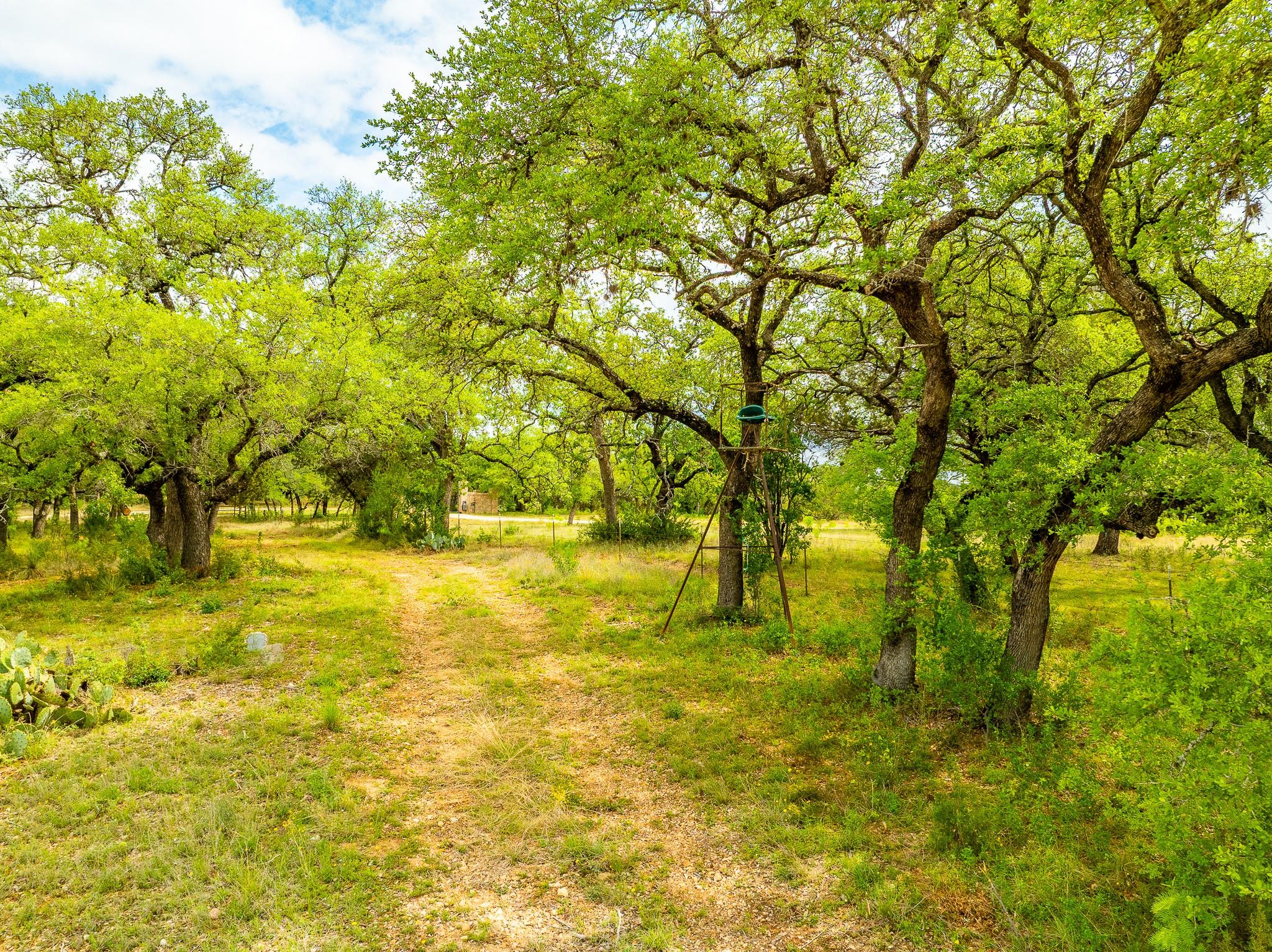28205 Turner Ranch Road Marble Falls TX 78654
