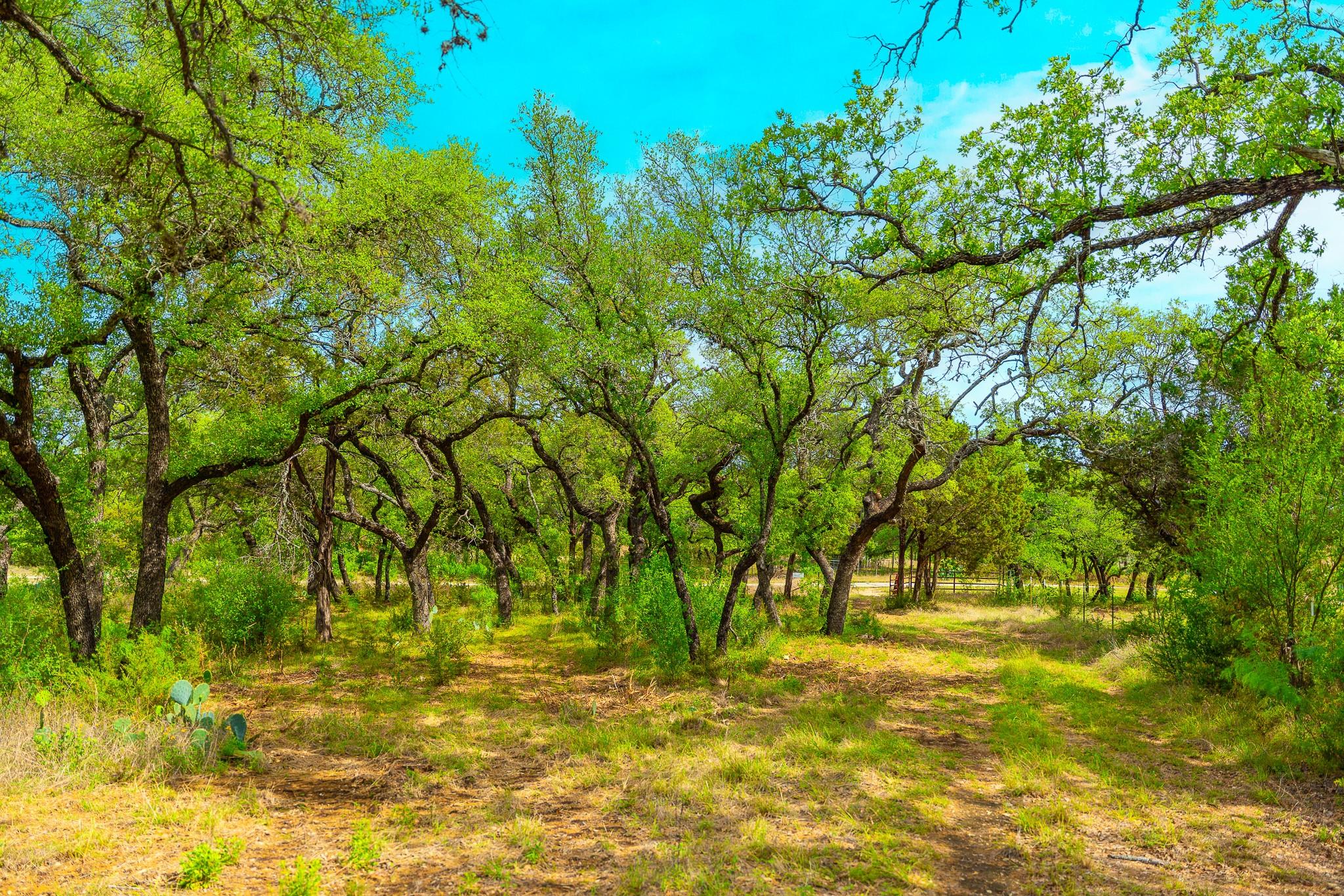 28205 Turner Ranch Road Marble Falls TX 78654