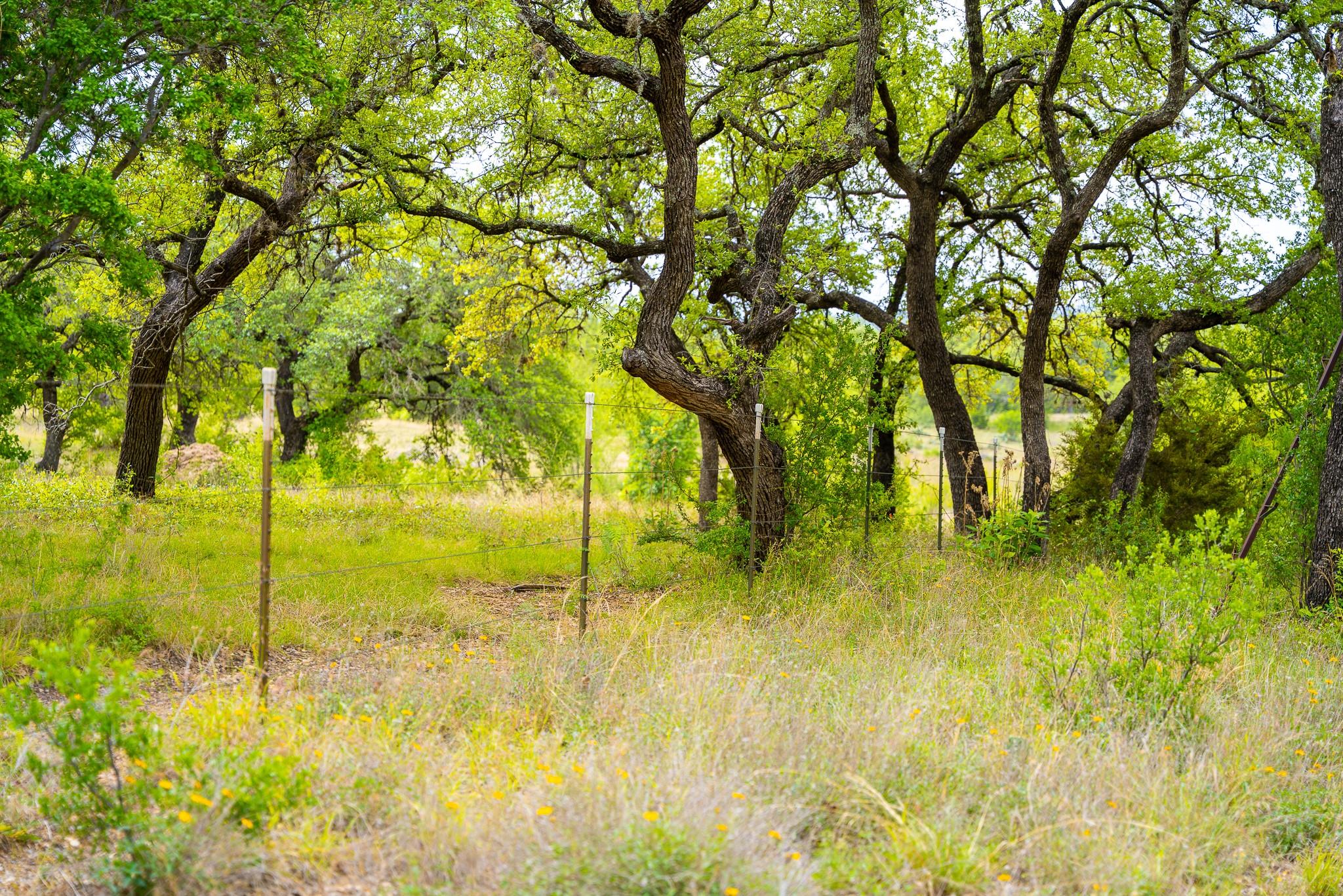 28205 Turner Ranch Road Marble Falls TX 78654