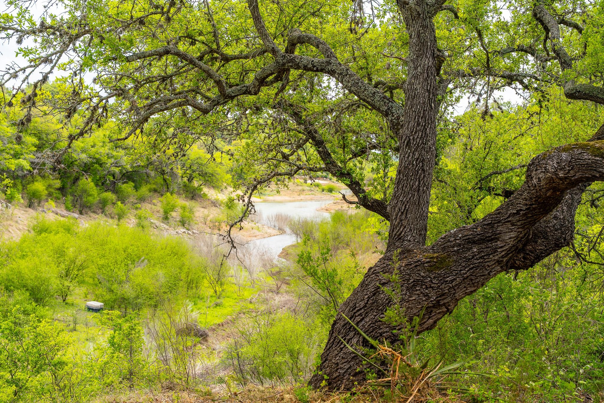 28205 Turner Ranch Road Marble Falls TX 78654
