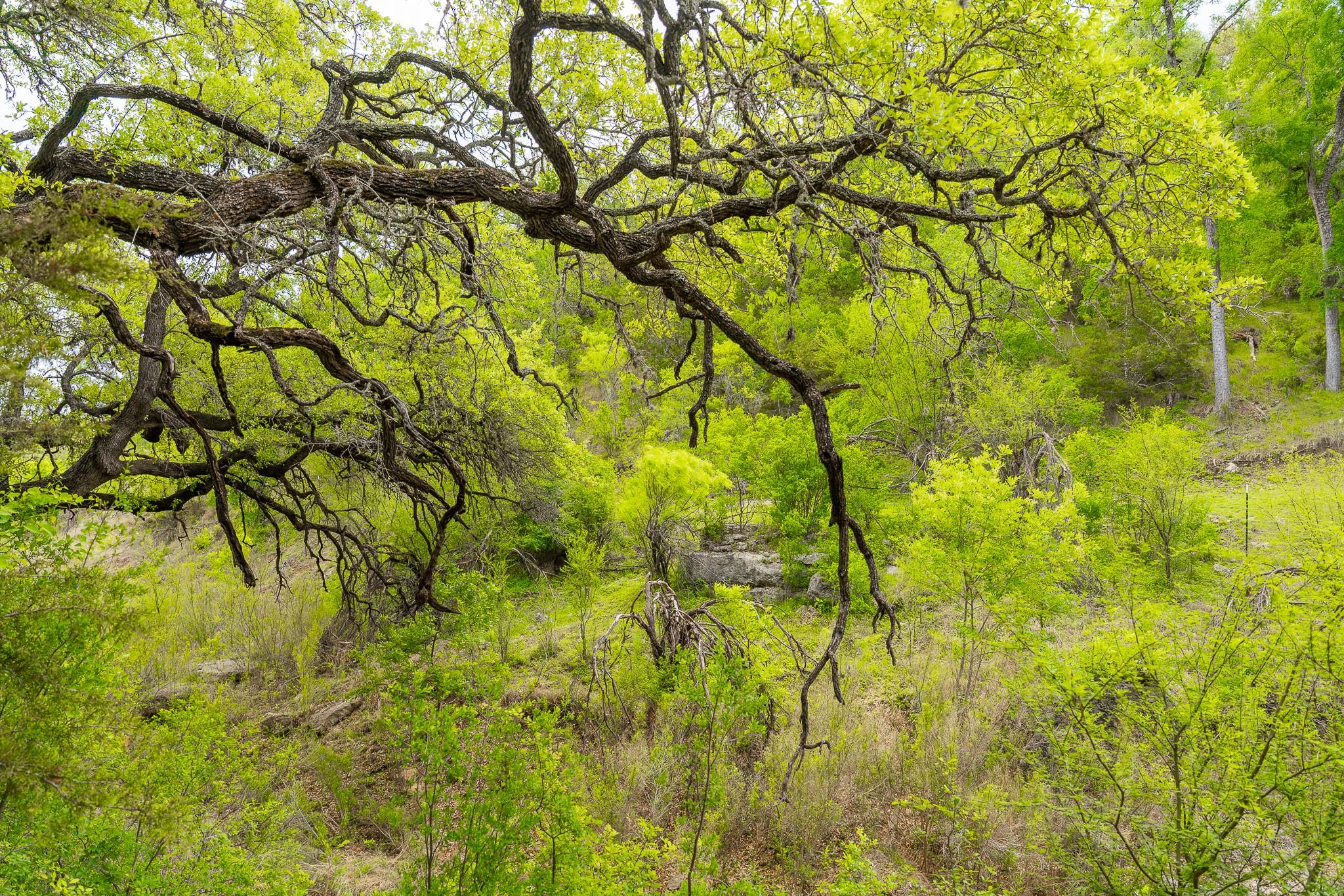 28205 Turner Ranch Road Marble Falls TX 78654